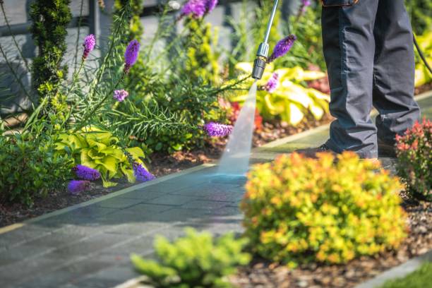 Spring Cleaning in Lawnside, NJ